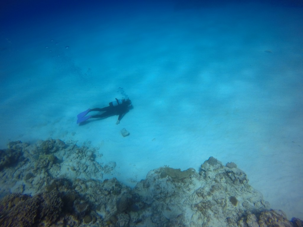 DCIM100GOPROGOPR0815.JPG