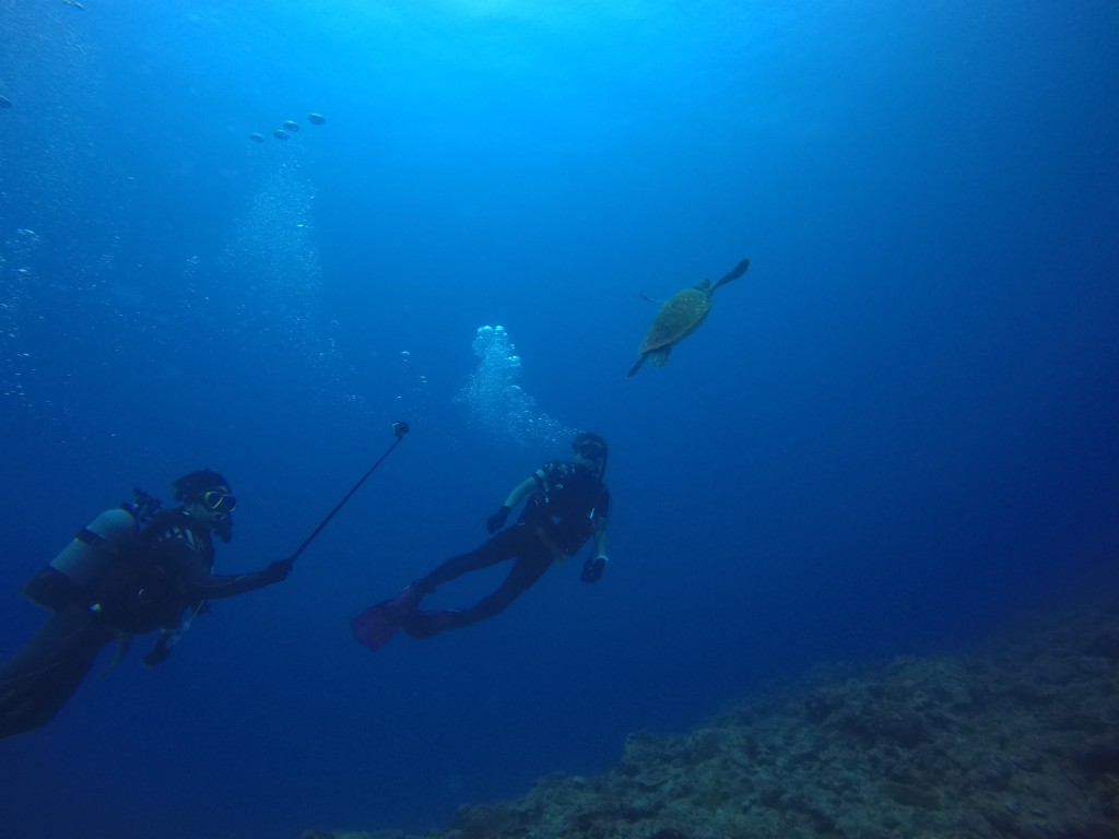 DCIM100GOPROGOPR0939.JPG