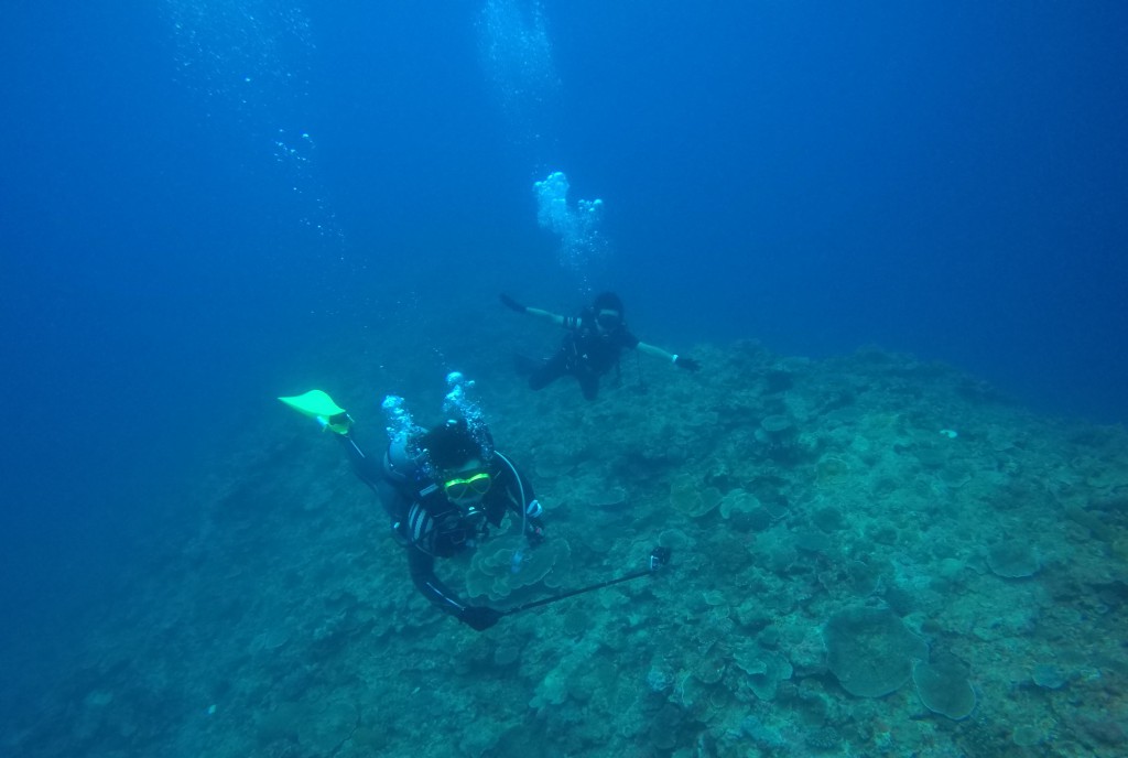 DCIM100GOPROGOPR0944.JPG