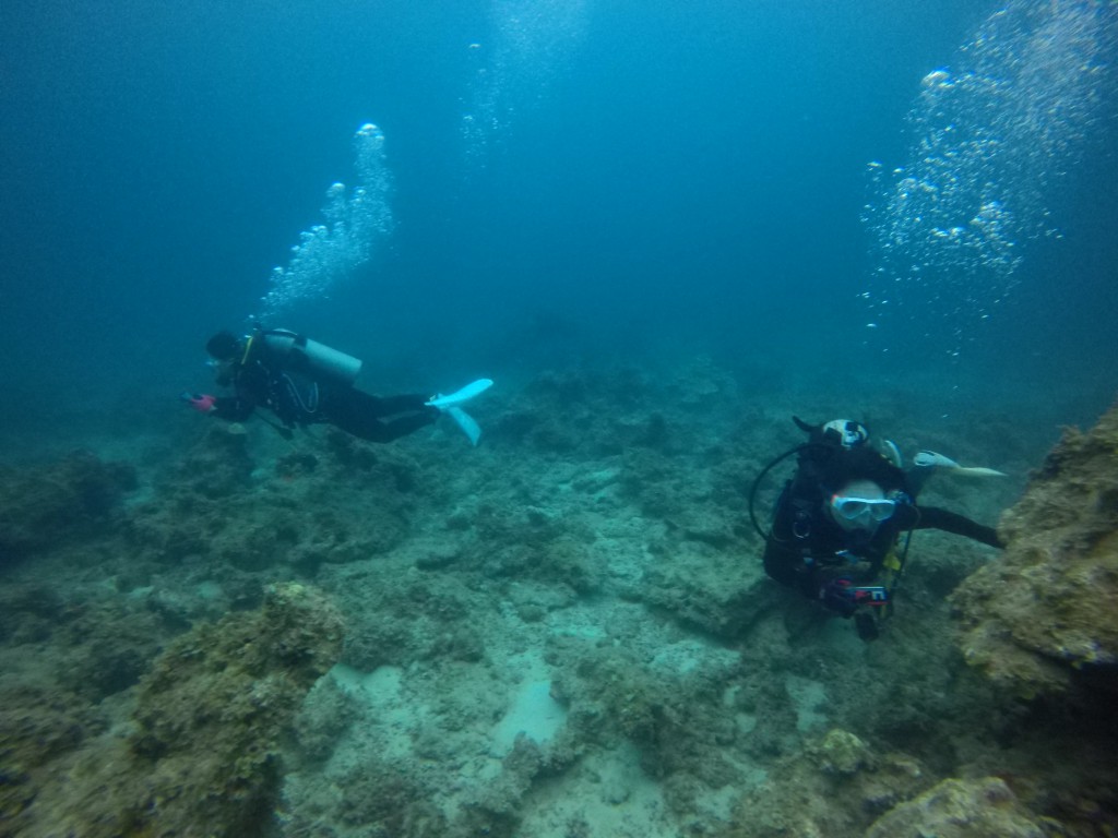 DCIM100GOPROGOPR1207.JPG